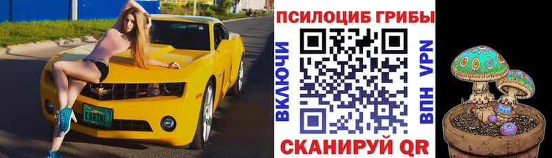 где продают наркотики  Талица  Галлюциногенные грибы MAGIC MUSHROOMS 